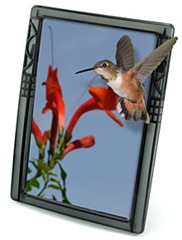 3-D Picture Frame