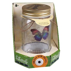 Butterfly in a jar