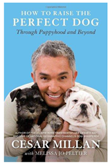 caesar millan book